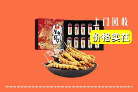 崂山区回收冬虫夏草